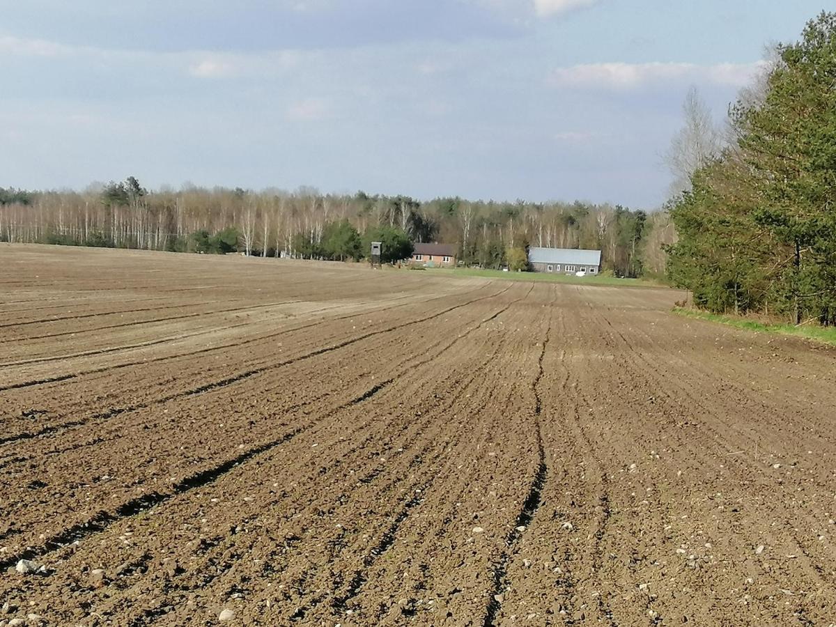 Agroturystyka Pod Dobrymi Skrzydlami Wiski エクステリア 写真